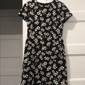 Loft business casual dress